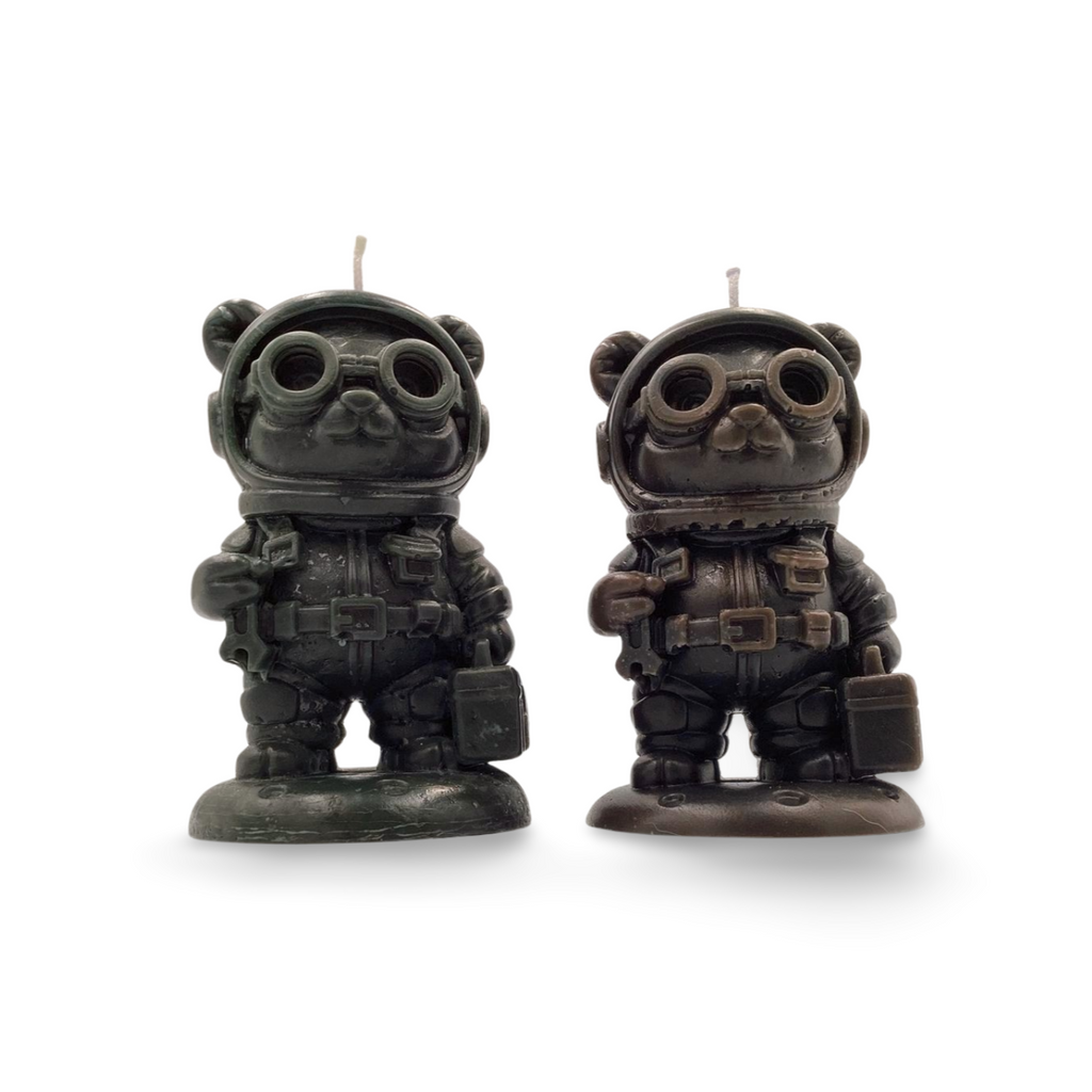 Space Raccoon