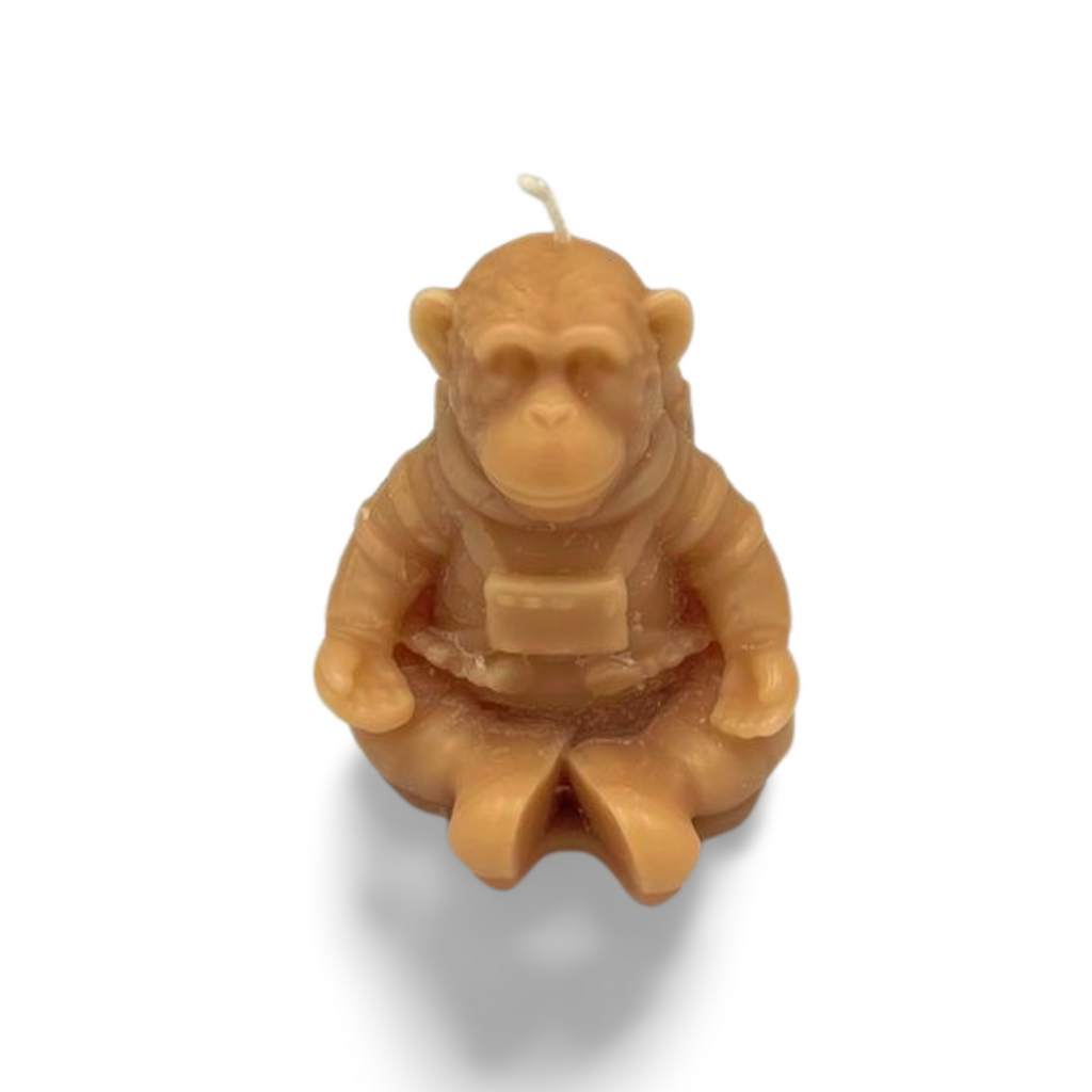Space Monkey